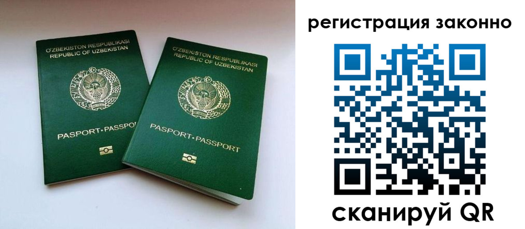 прописка гарантия в Семилуках